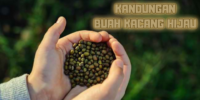 Kandungan Buah Kacang Hijau