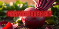 Manfaat Buah Bit