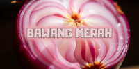 Manfaat Bawang Merah