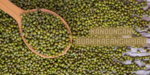 Kandungan Buah Kacang Hijau